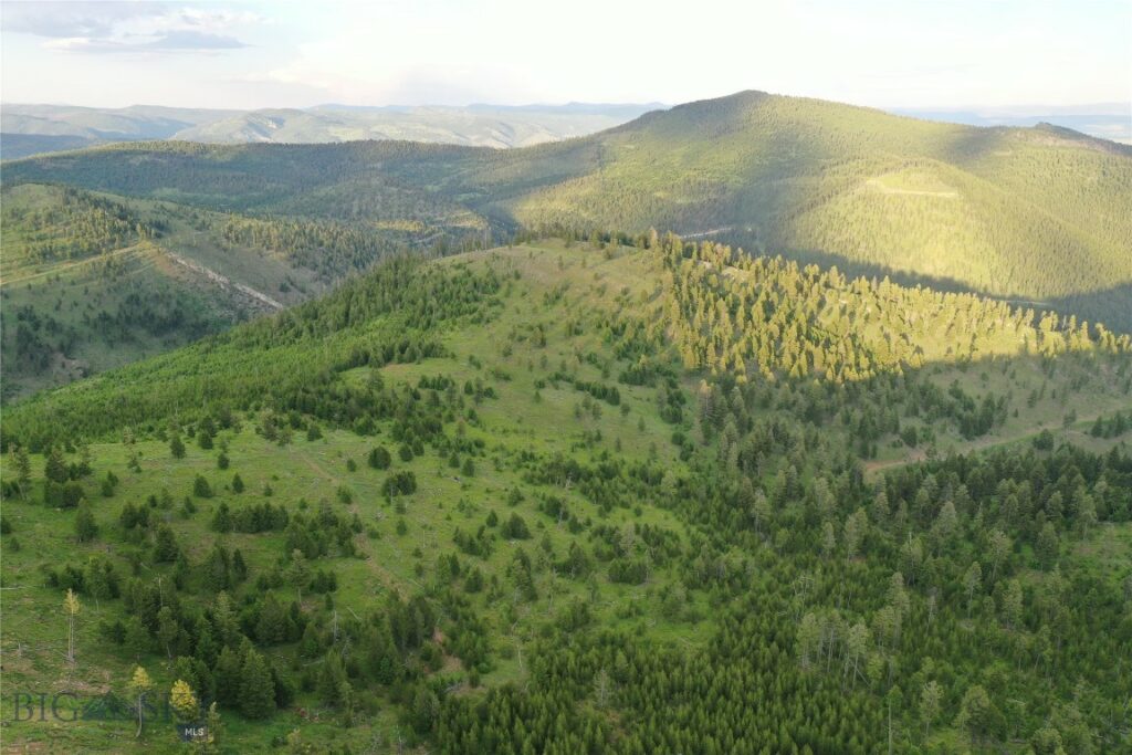 2 Tract, Garnet Range, Drummond MT 59832