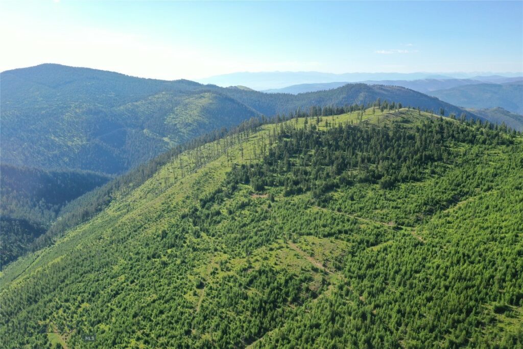 2 Tract, Garnet Range, Drummond MT 59832