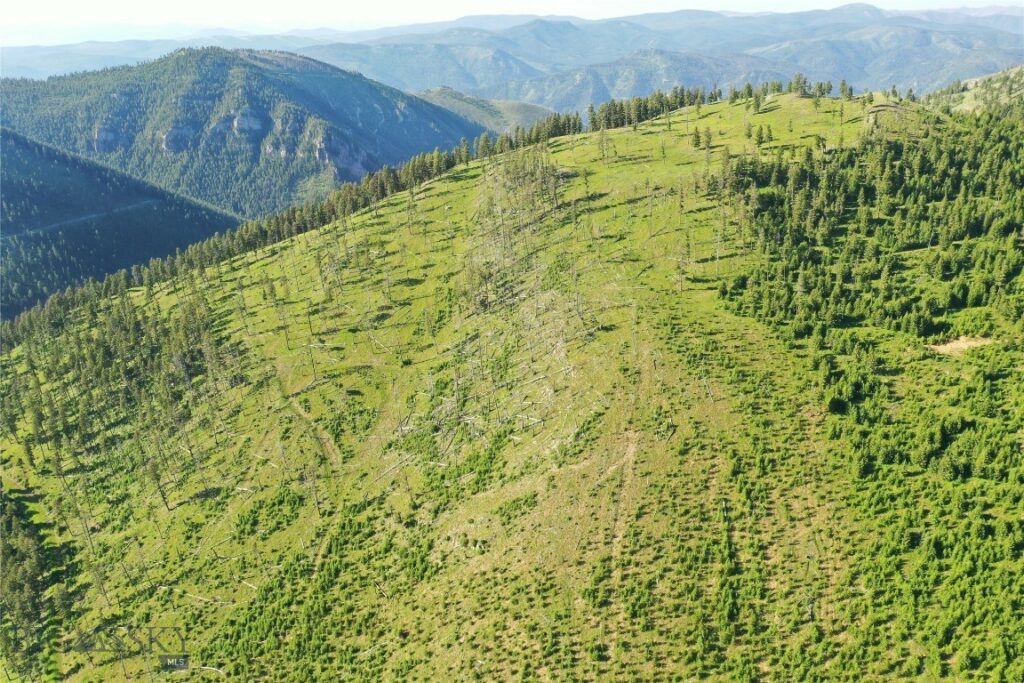 2 Tract, Garnet Range, Drummond MT 59832