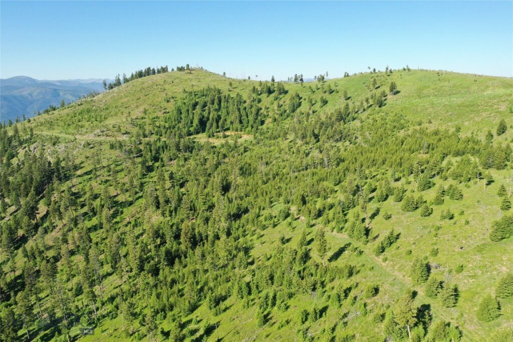 2 Tract, Garnet Range, Drummond MT 59832