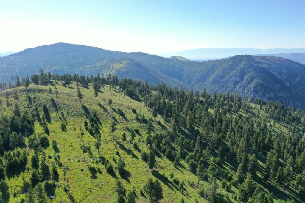2 Tract, Garnet Range, Drummond MT 59832