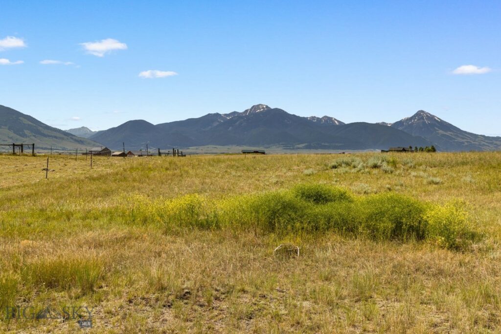 20 Black Hawk, Livingston MT 59047