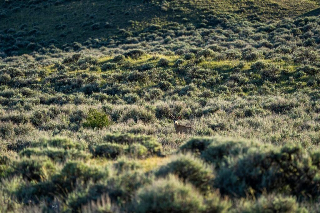 20 Shy rd, Wilsall MT 59086