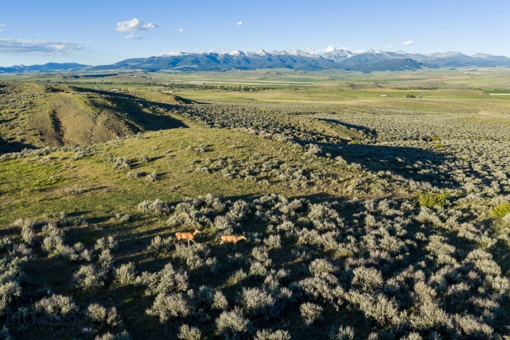 20 Shy rd, Wilsall MT 59086