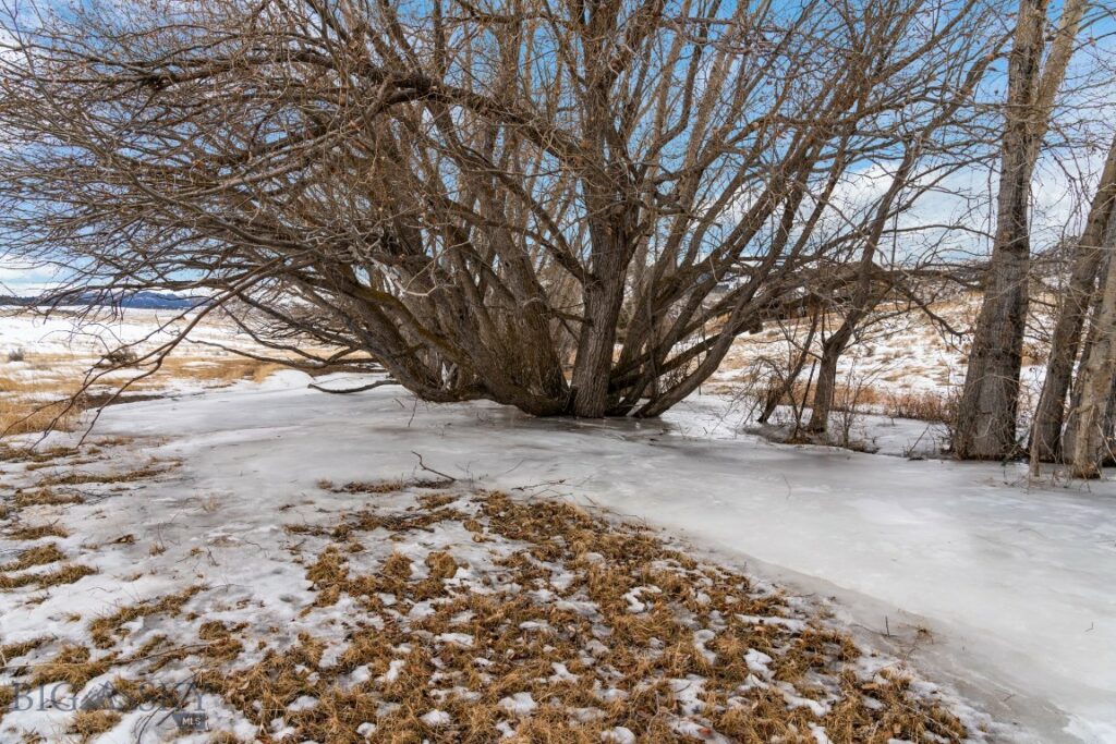 20 Two Bumps Loop E, Ennis MT 59729