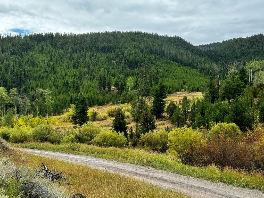 2044 Telegraph Gulch, Butte MT 59701