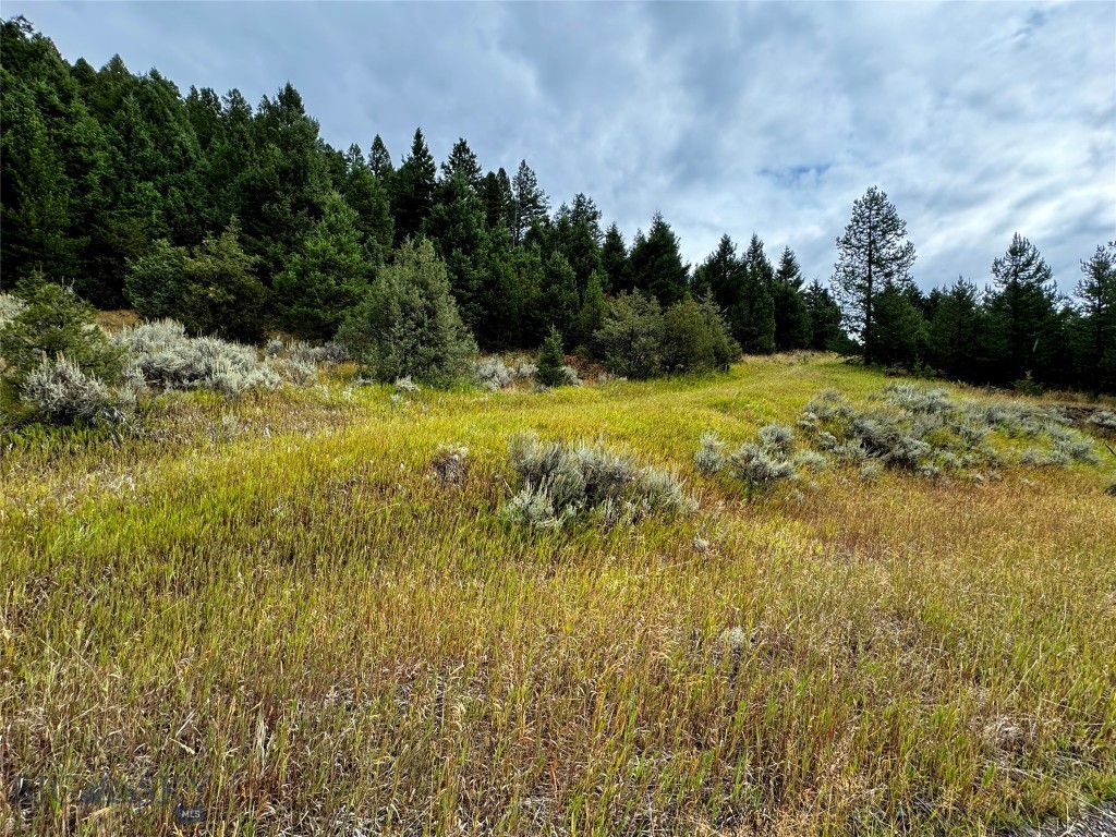 2044 Telegraph Gulch, Butte MT 59701