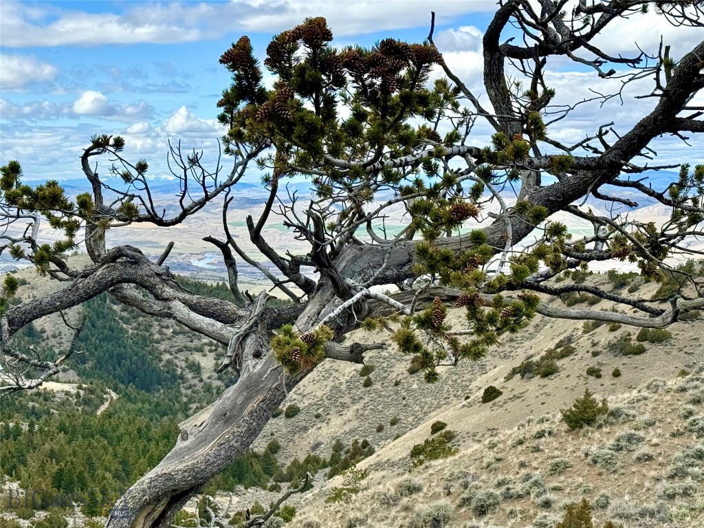 20590 Pole Gulch Road, Three Forks MT 59752