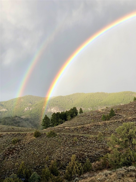 20590 Pole Gulch Road, Three Forks MT 59752