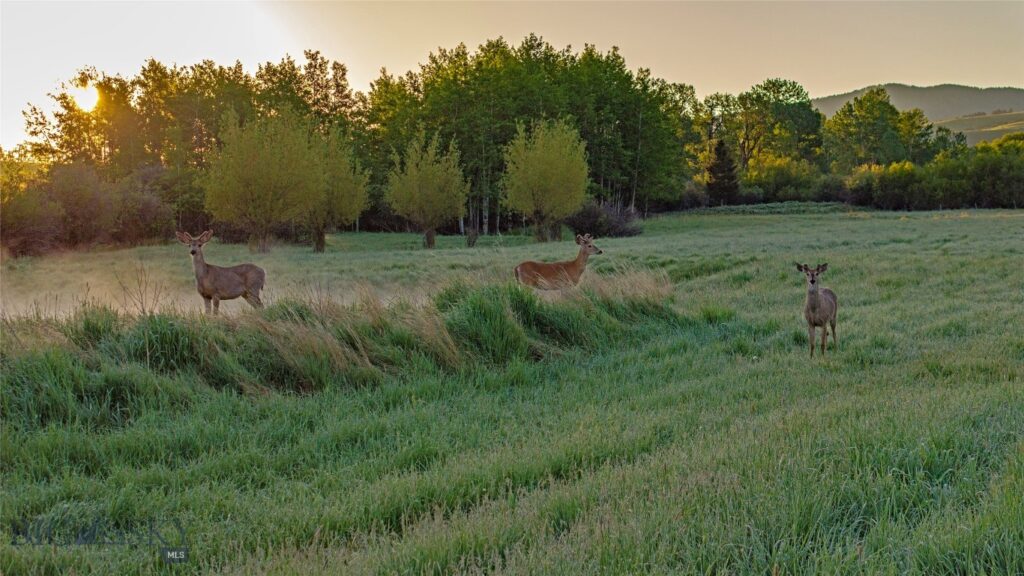 2081 Little Bear Road, Gallatin Gateway MT 59730