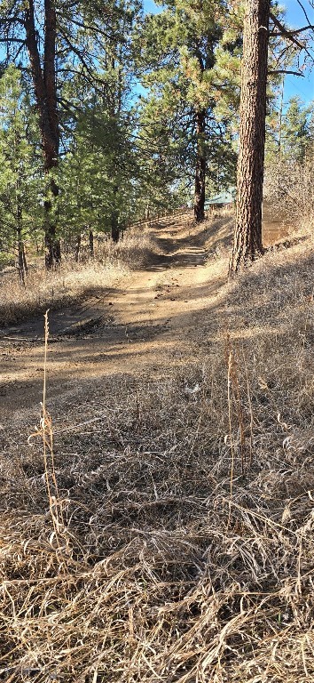 211 WARM SPRINGS CREEK RD, Clancy MT 59634