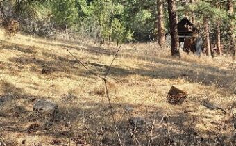 211 WARM SPRINGS CREEK RD, Clancy MT 59634