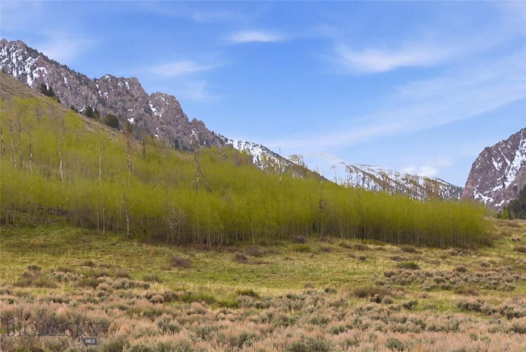 224 Slide Rock Road, Cameron MT 59720