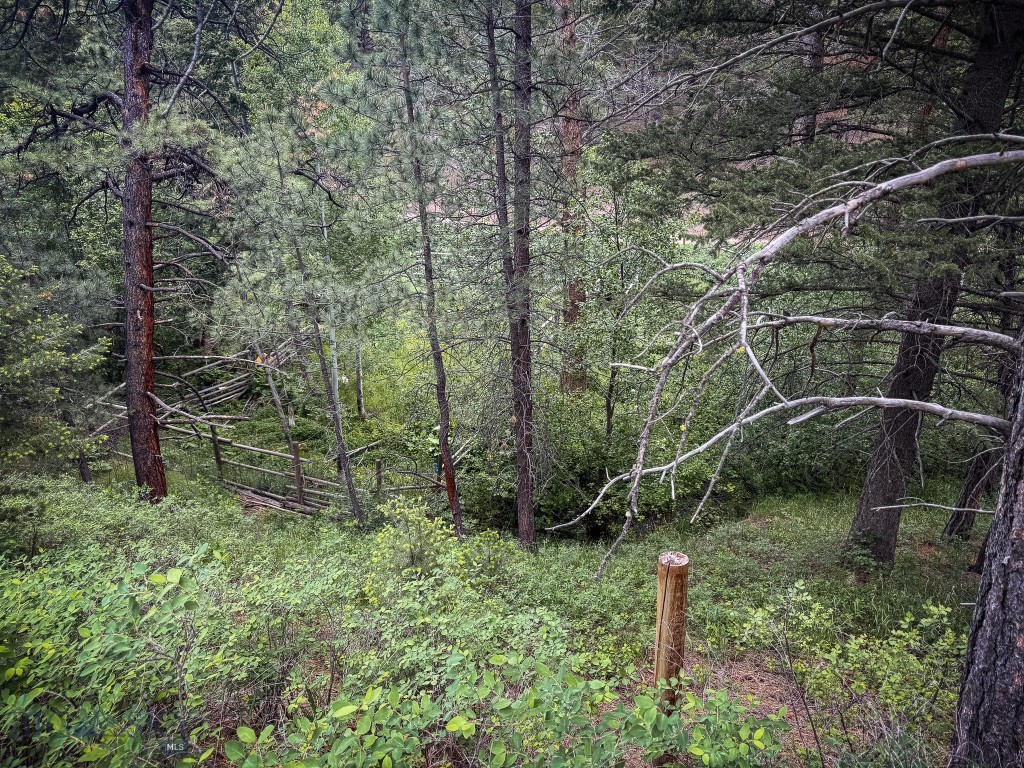 2270 Lynx Trail Drive, Wolf Creek MT 59648