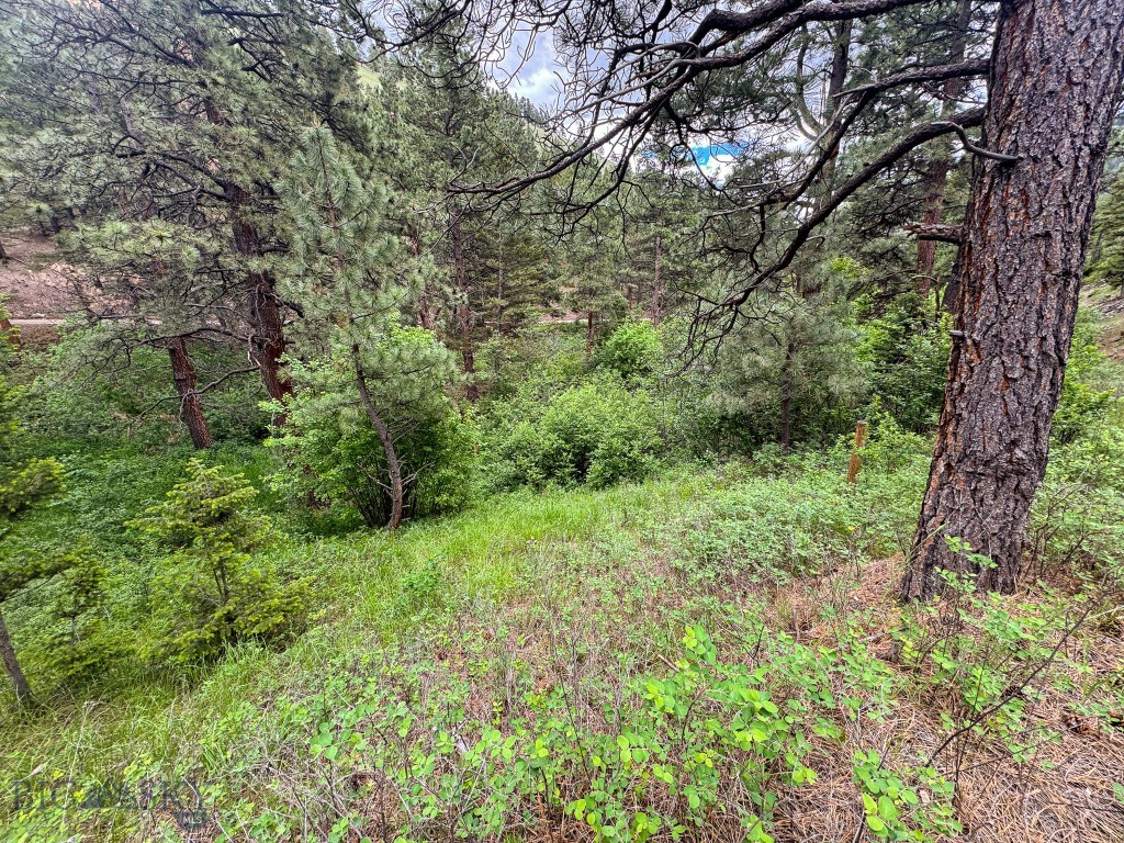 2270 Lynx Trail Drive, Wolf Creek MT 59648