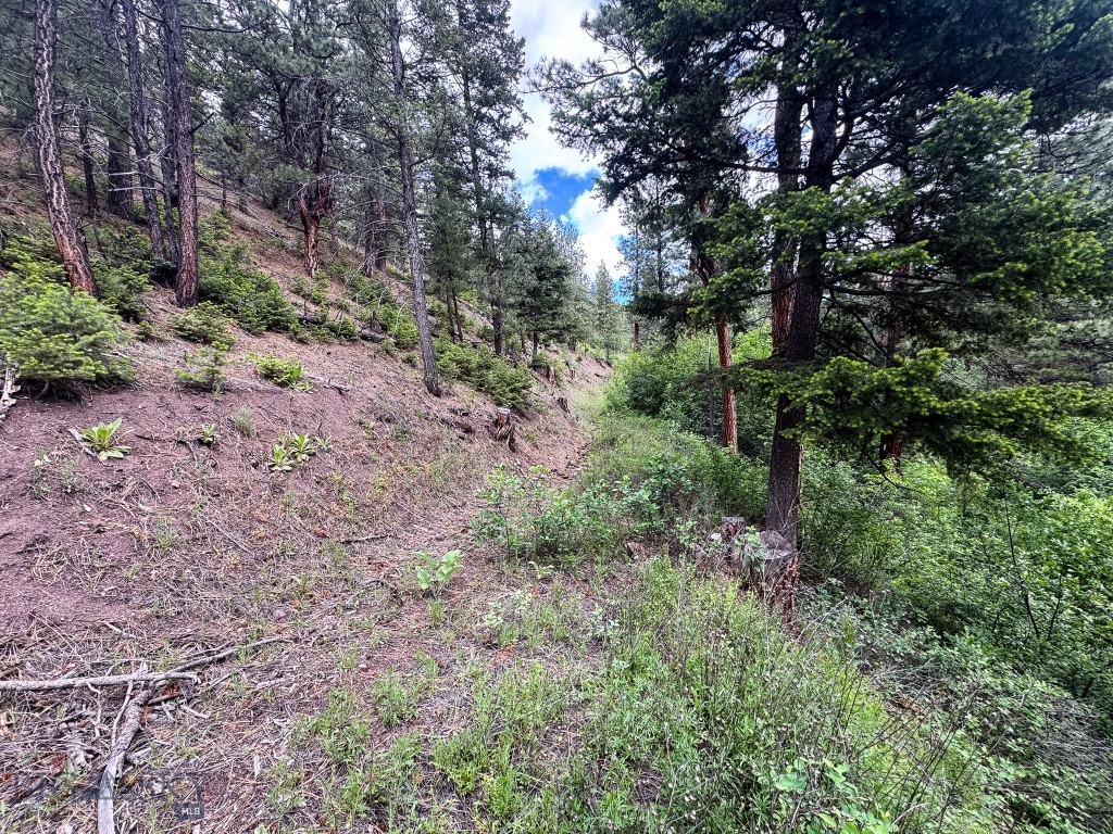 2270 Lynx Trail Drive, Wolf Creek MT 59648