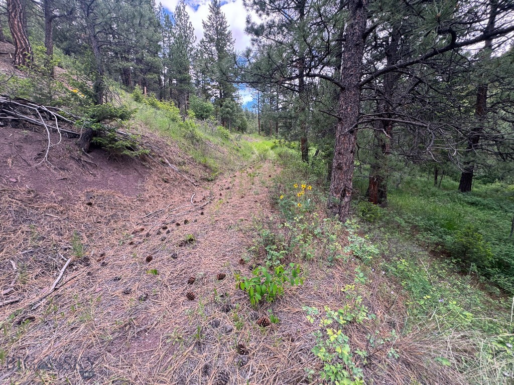 2270 Lynx Trail Drive, Wolf Creek MT 59648
