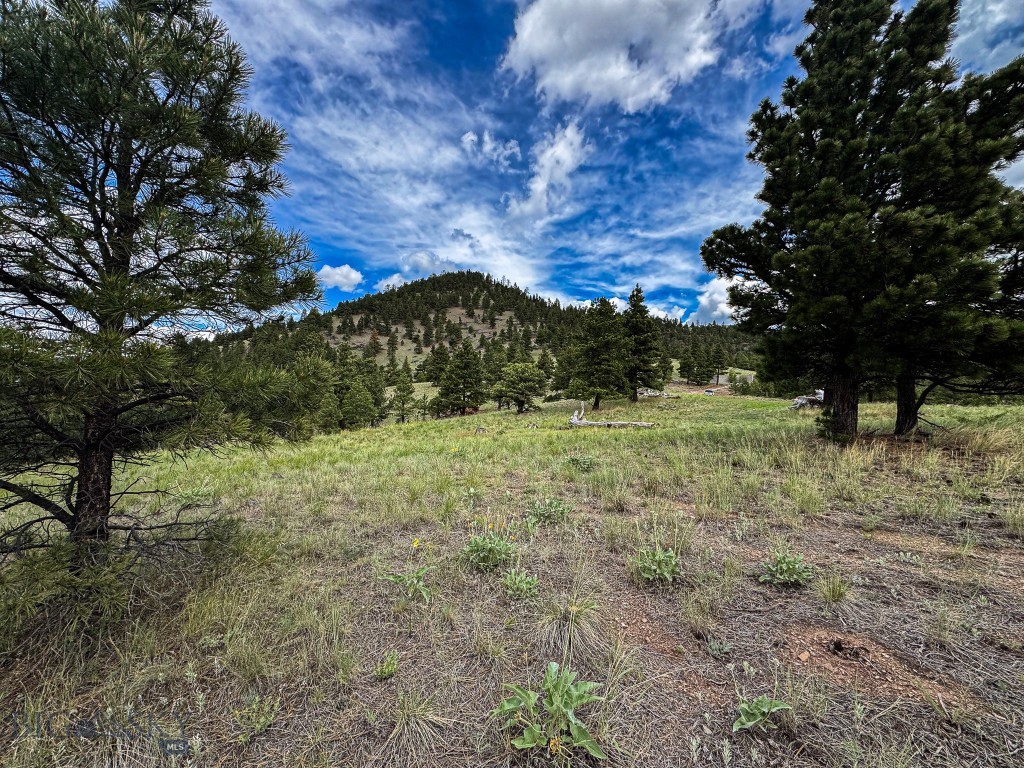 2270 Lynx Trail Drive, Wolf Creek MT 59648