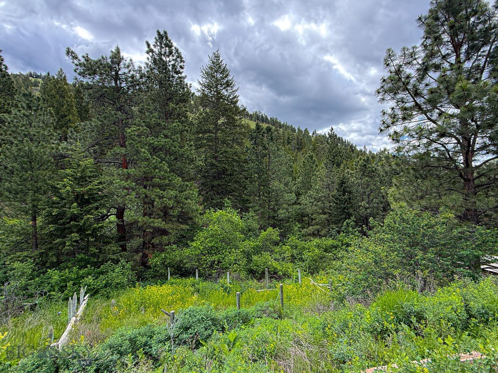2270 Lynx Trail Drive, Wolf Creek MT 59648