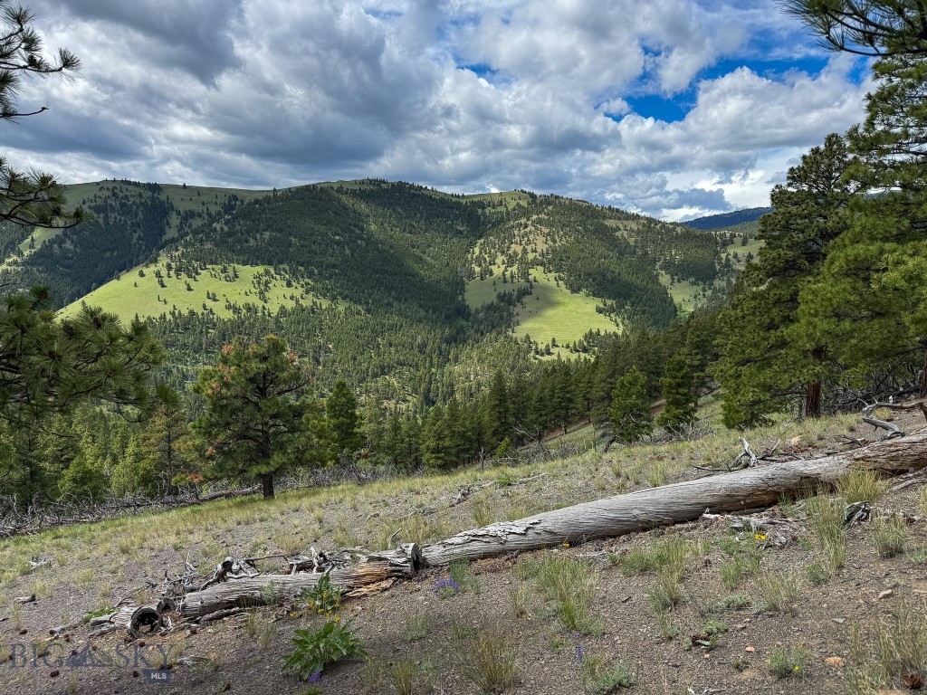 2270 Lynx Trail Drive, Wolf Creek MT 59648
