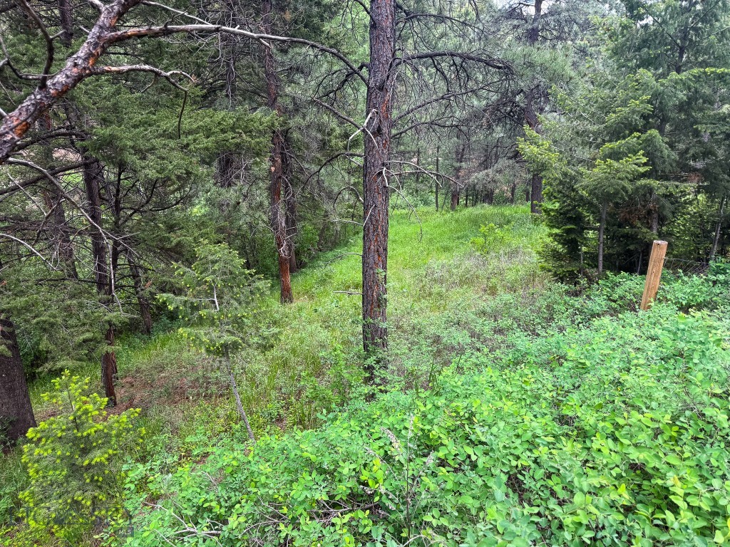 2270 Lynx Trail Drive, Wolf Creek MT 59648