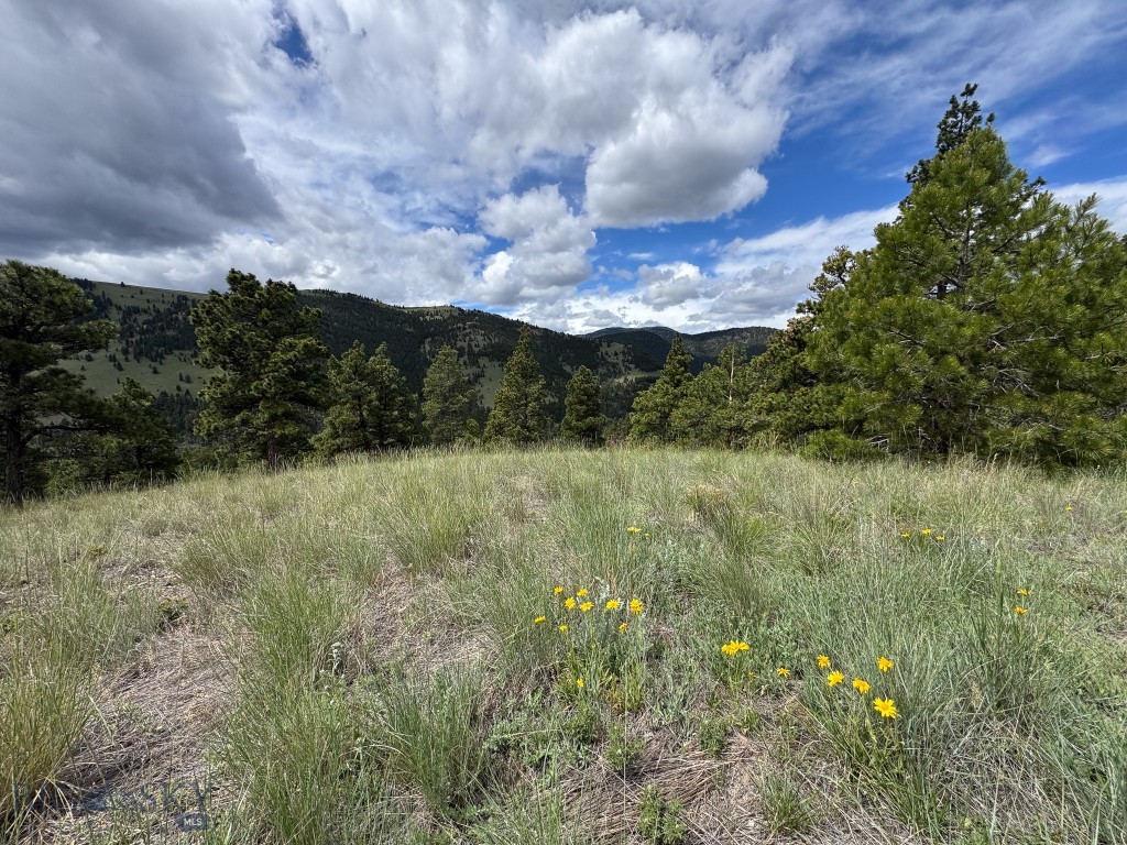 2270 Lynx Trail Drive, Wolf Creek MT 59648