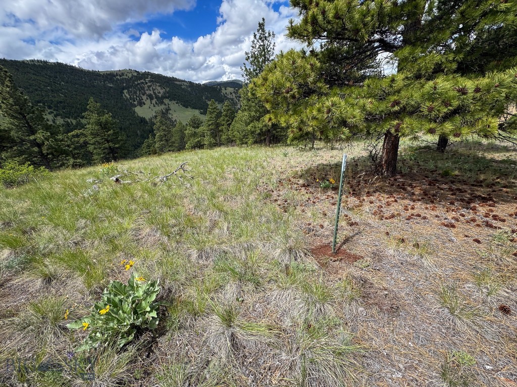 2270 Lynx Trail Drive, Wolf Creek MT 59648
