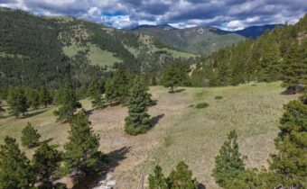 2270 Lynx Trail Drive, Wolf Creek MT 59648