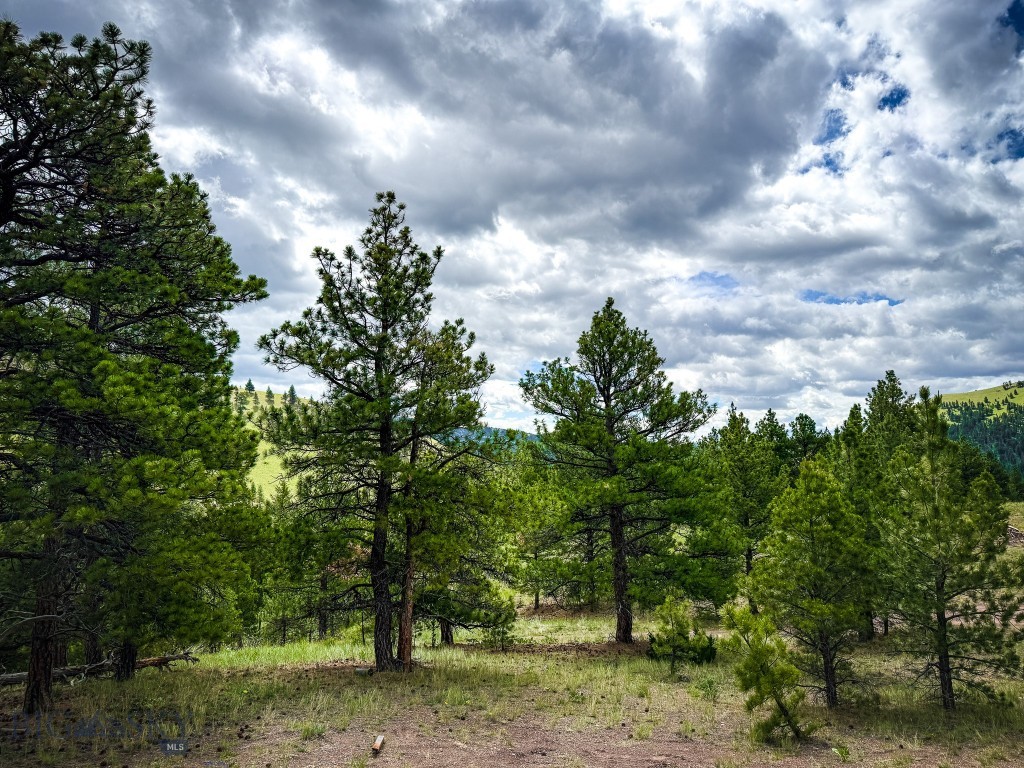 2270 Lynx Trail Drive, Wolf Creek MT 59648