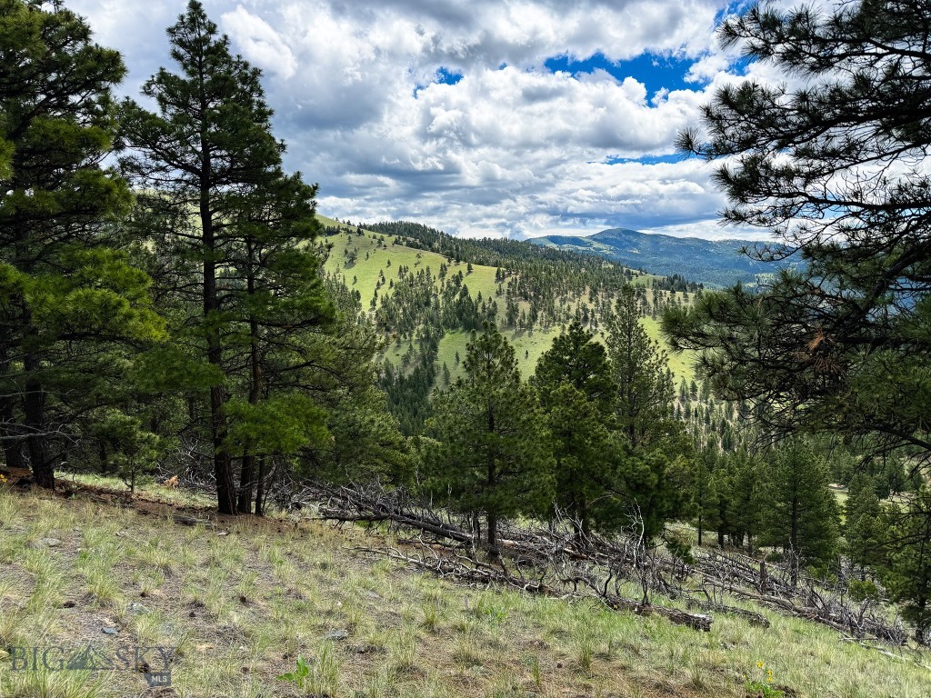 2270 Lynx Trail Drive, Wolf Creek MT 59648