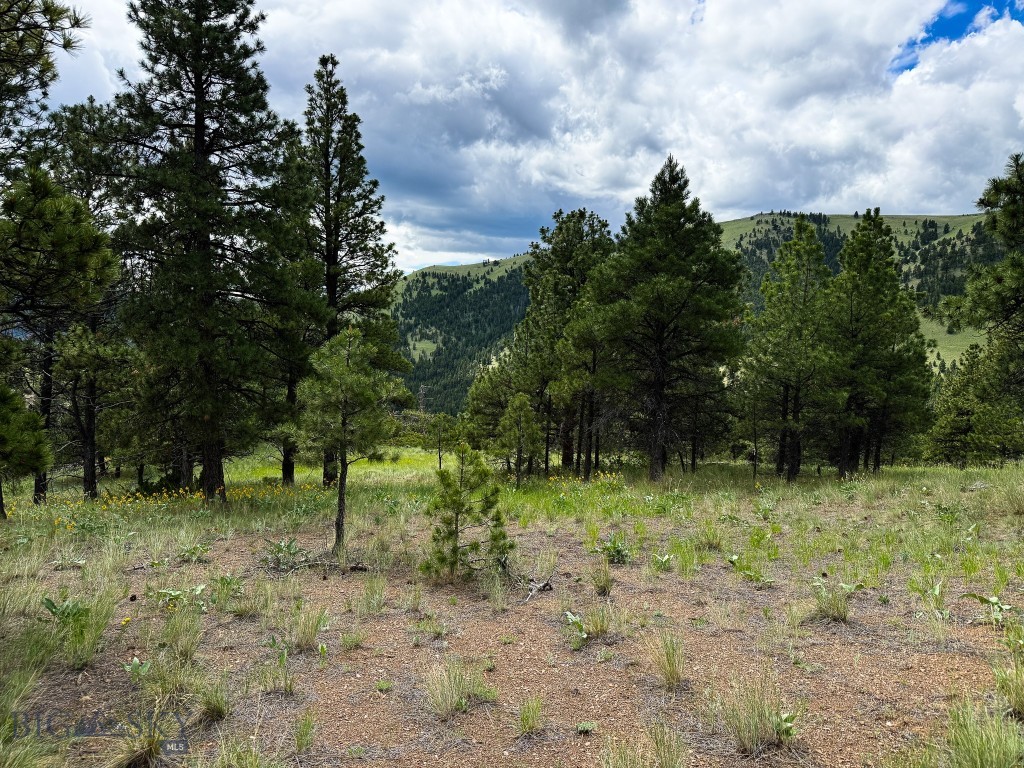 2270 Lynx Trail Drive, Wolf Creek MT 59648
