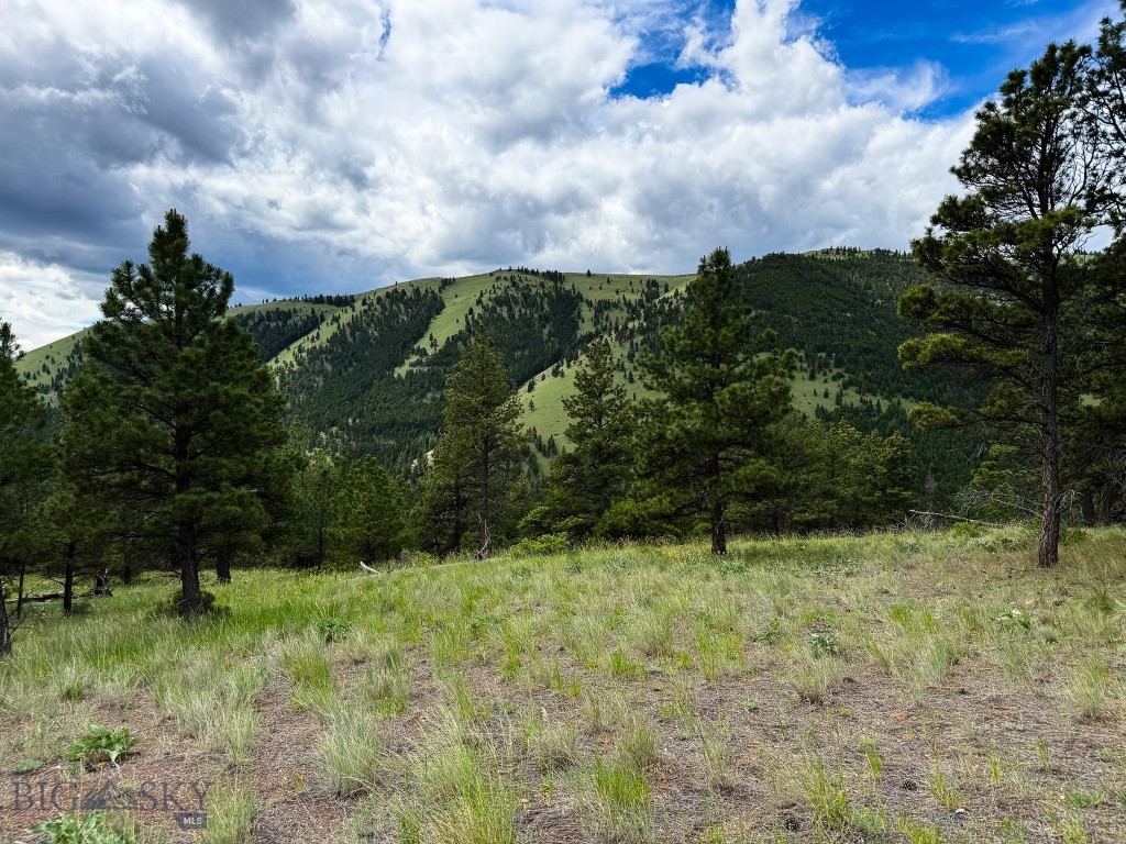 2270 Lynx Trail Drive, Wolf Creek MT 59648