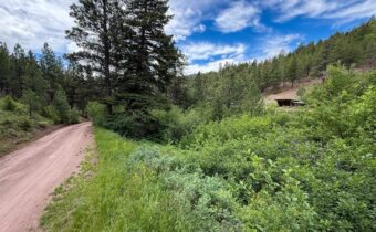 2270 Lynx Trail Drive, Wolf Creek MT 59648
