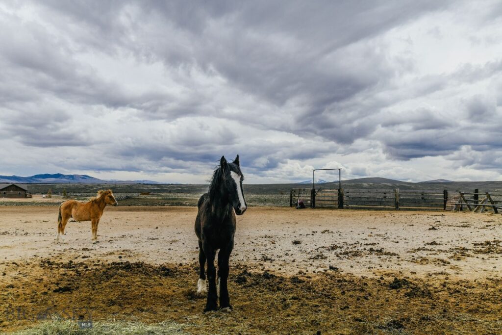 22869 MT Highway 278, Dillon MT 59725