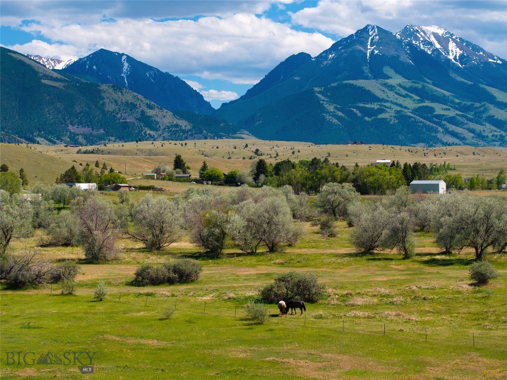25 Emigrant Meadows Road, Emigrant MT 59065