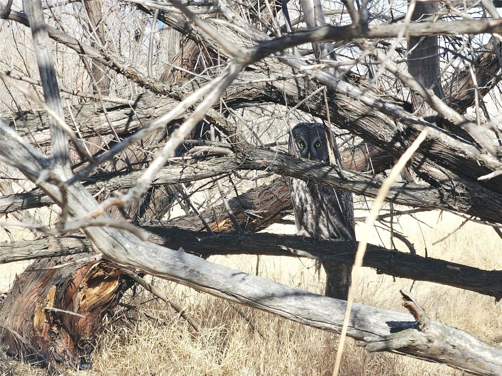 25 Emigrant Meadows Road, Emigrant MT 59065