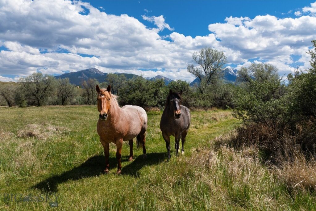 25 Emigrant Meadows Road, Emigrant MT 59065