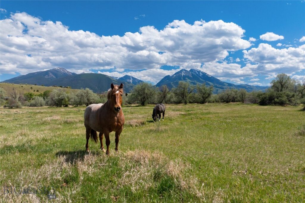 25 Emigrant Meadows Road, Emigrant MT 59065