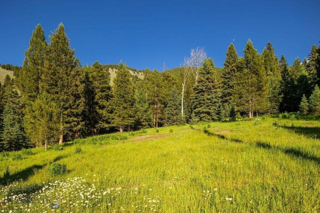 250 Pete’s Way, Big Sky MT 59730