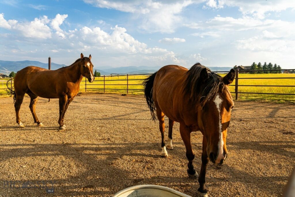 250 Valley High Drive, Bozeman MT 59718