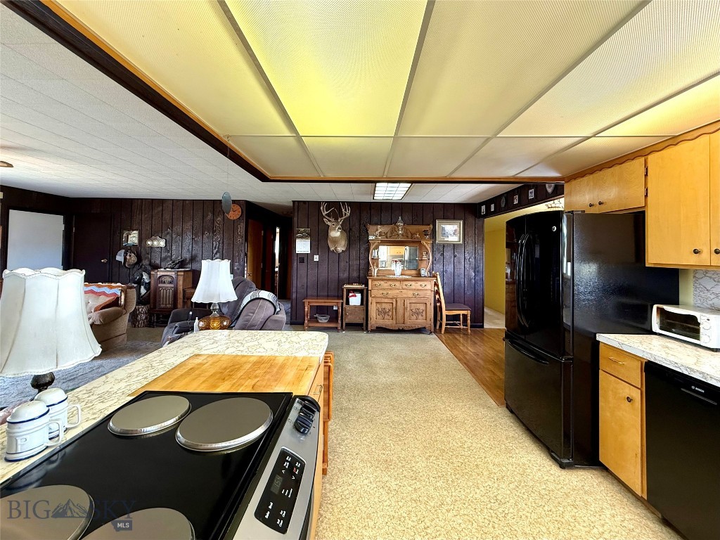 2553 S Mullen Trail Road, Gold Creek MT 59733