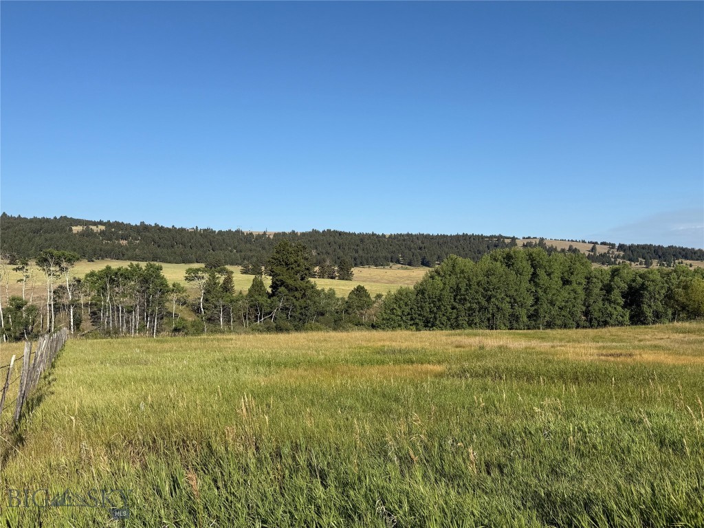 2553 S Mullen Trail Road, Gold Creek MT 59733