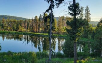 281 Daisy Lane, Seeley Lake MT 59868