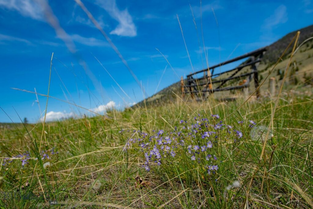 2833 Johnson Creek Road, Divide MT 59727