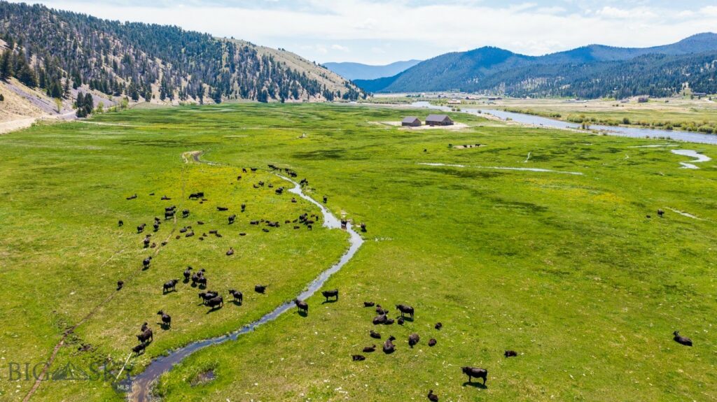 2833 Johnson Creek Road, Divide MT 59727