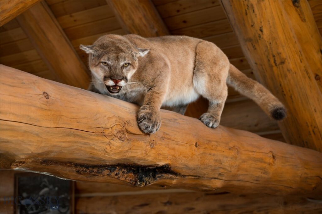 285 Lost Trail, Townsend MT 59644