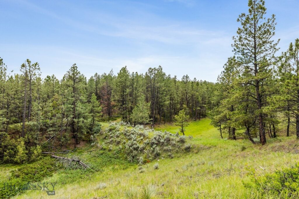 2920 79 Trail, Roy MT 59471