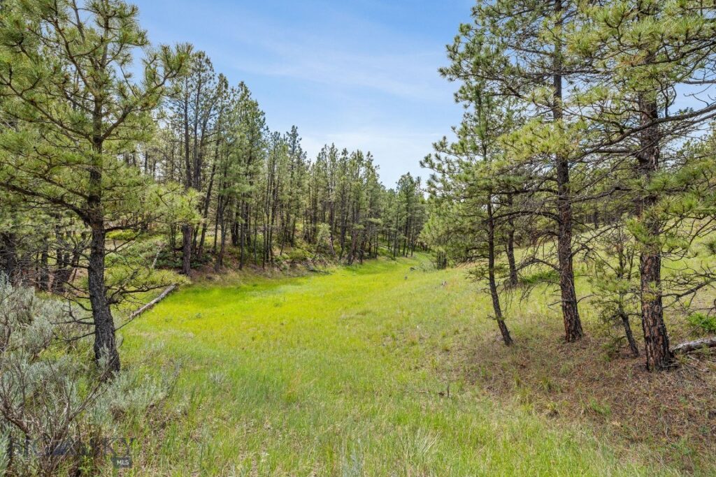 2920 79 Trail, Roy MT 59471