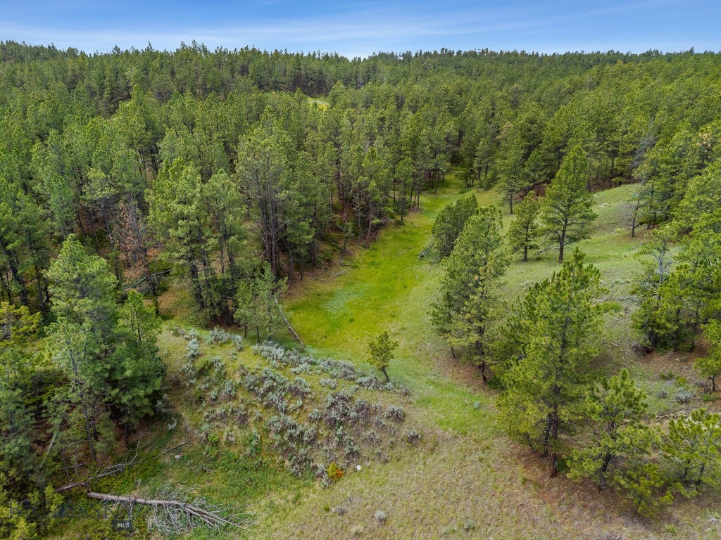 2920 79 Trail, Roy MT 59471