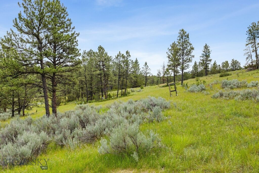 2920 79 Trail, Roy MT 59471